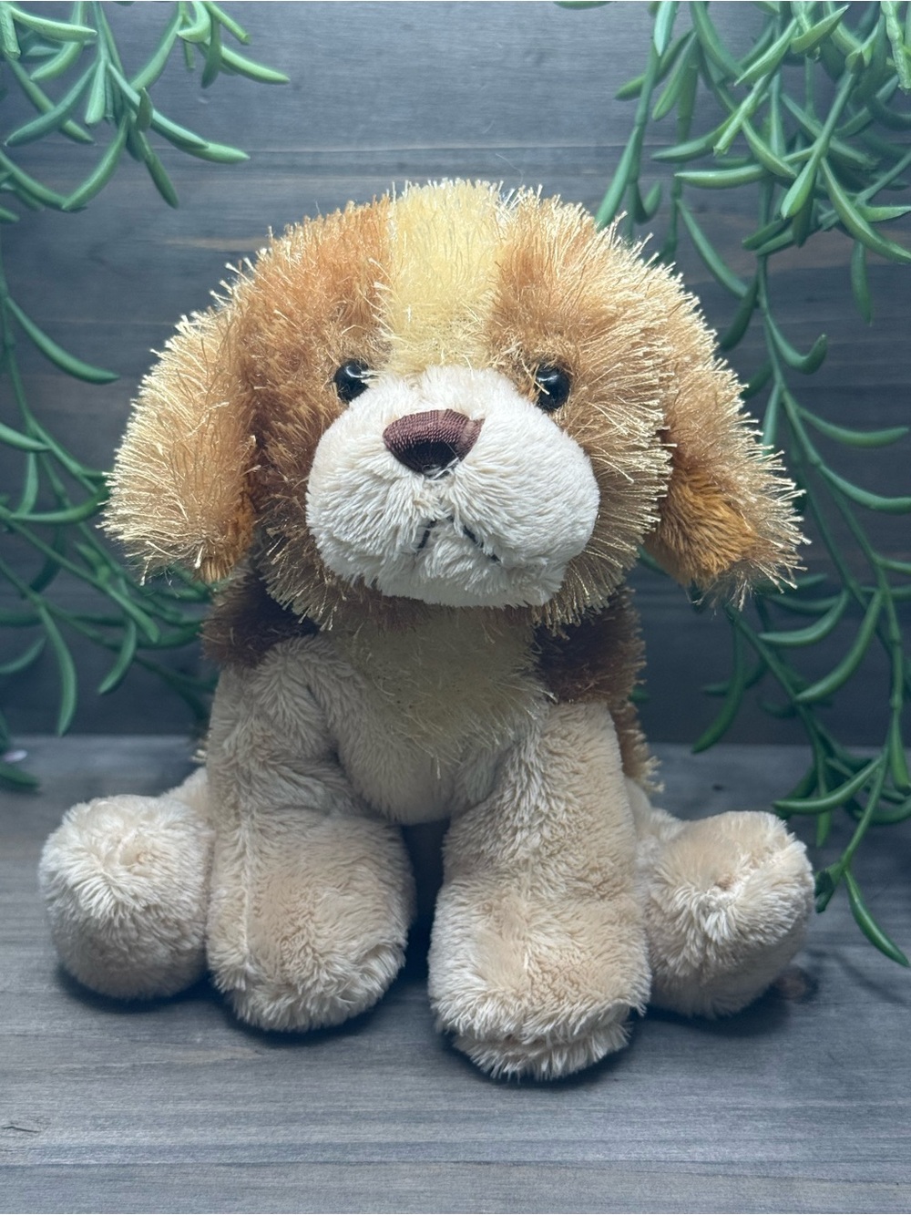 2/$20 Webkinz Lil Cocker Spaniel